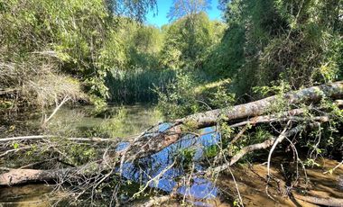 Terreno Camino Valdivia-mafil