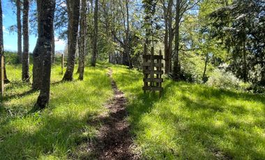Terreno Camino Valdivia-mafil