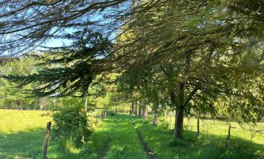 Terreno Camino Valdivia-mafil