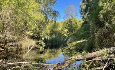 Terreno Camino Valdivia-mafil