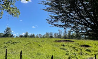 Terreno Camino Valdivia-mafil