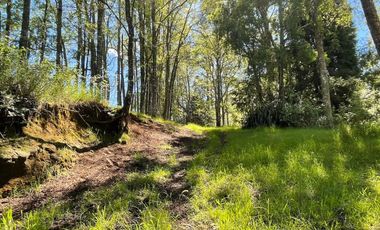 Terreno Camino Valdivia-mafil