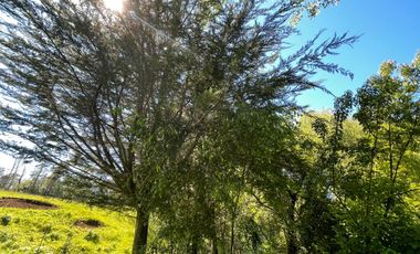 Terreno Camino Valdivia-mafil