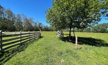 Terreno Camino Valdivia-mafil