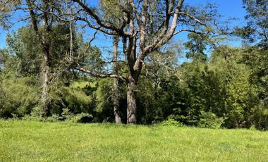 Terreno Camino Valdivia-mafil