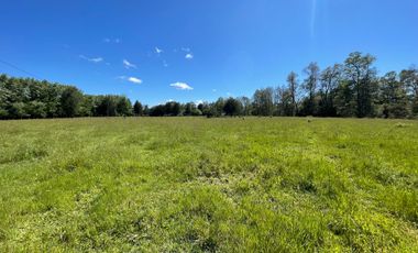 Terreno Camino Valdivia-mafil