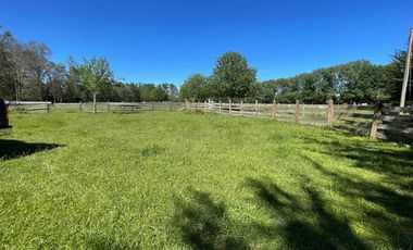 Terreno Camino Valdivia-mafil