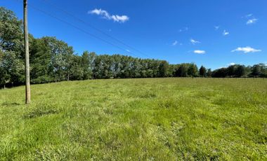 Terreno Camino Valdivia-mafil