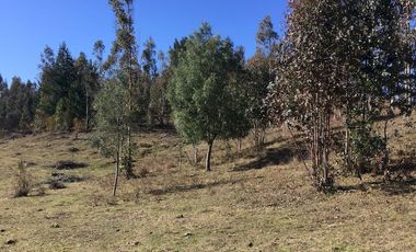 Hermoso Campo Huayento 16 Ha a 26 km de Villarrica-comuna de Gorbea