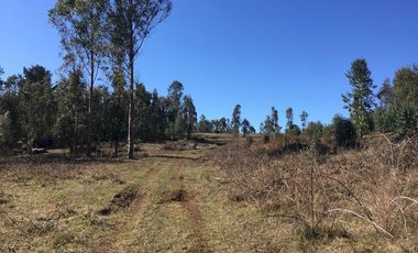 Hermoso Campo Huayento 16 Ha a 26 km de Villarrica-comuna de Gorbea