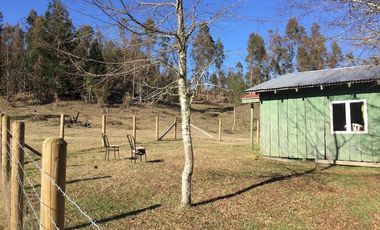 Hermoso Campo Huayento 16 Ha a 26 km de Villarrica-comuna de Gorbea