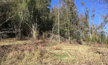 Hermoso Campo Huayento 16 Ha a 26 km de Villarrica-comuna de Gorbea