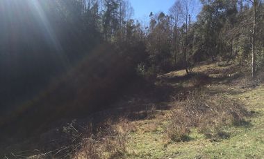 Hermoso Campo Huayento 16 Ha a 26 km de Villarrica-comuna de Gorbea