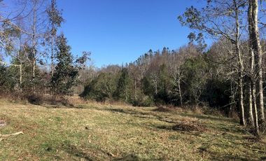 Hermoso Campo Huayento 16 Ha a 26 km de Villarrica-comuna de Gorbea