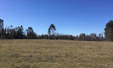 Hermoso Campo Huayento 16 Ha a 26 km de Villarrica-comuna de Gorbea