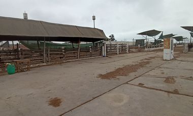 VENTA DE TERRENO, 2.6 HAS, EN ZONA DE EXPANSION URBANA/COMERCIAL/FINANCIERA