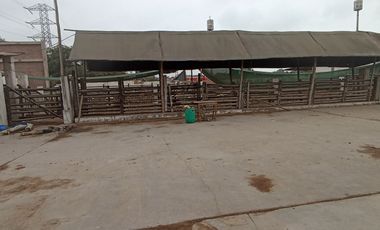 VENTA DE TERRENO, 2.6 HAS, EN ZONA DE EXPANSION URBANA/COMERCIAL/FINANCIERA