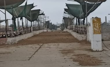 VENTA DE TERRENO, 2.6 HAS, EN ZONA DE EXPANSION URBANA/COMERCIAL/FINANCIERA