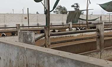 VENTA DE TERRENO, 2.6 HAS, EN ZONA DE EXPANSION URBANA/COMERCIAL/FINANCIERA