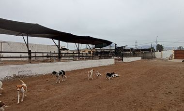 VENTA DE TERRENO, 2.6 HAS, EN ZONA DE EXPANSION URBANA/COMERCIAL/FINANCIERA