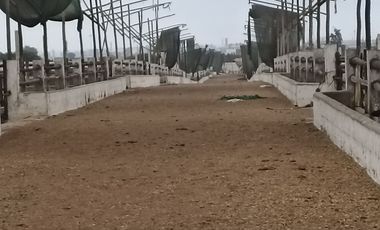 VENTA DE TERRENO, 2.6 HAS, EN ZONA DE EXPANSION URBANA/COMERCIAL/FINANCIERA