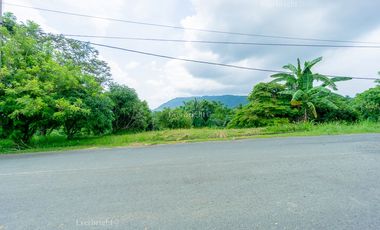 Tagaytay Midlands  | Residential Lot For Sale - #3692