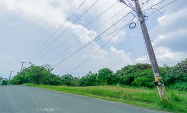 Tagaytay Midlands  | Residential Lot For Sale - #3692