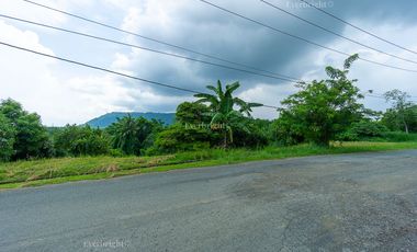 Tagaytay Midlands  | Residential Lot For Sale - #3692