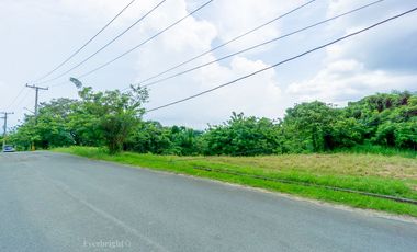 Tagaytay Midlands  | Residential Lot For Sale - #3692