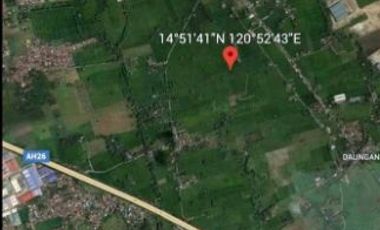 Agricultural lot for Sale in Guiguinto, Bulacan