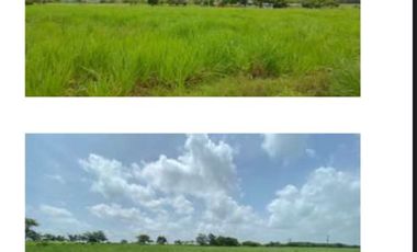 Terreno en venta con superficie de 42 Ha.