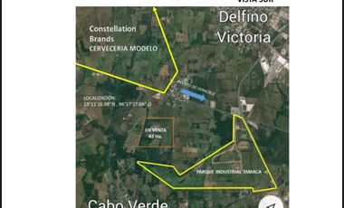 Terreno en venta con superficie de 42 Ha.