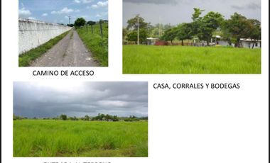 Terreno en venta con superficie de 42 Ha.