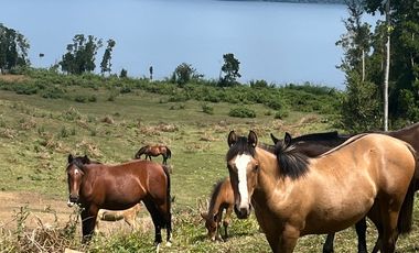 INCREIBLES PARCELAS LAGO RUPANCO