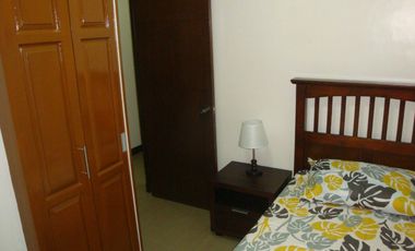FULLY FURNISHED HOUSE for rent in Midori Plains Minglanilla Cebu