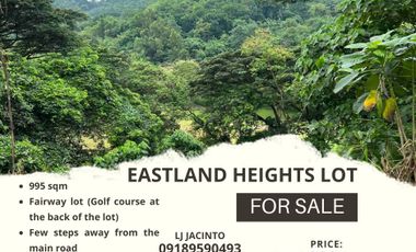 995 sqm Eastland Heights lot for Sale | Fairway lot