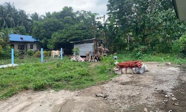 HOUSE AND HOUSE AND LOT FOR SALE IN BACONG ID 14849