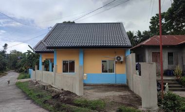 HOUSE AND HOUSE AND LOT FOR SALE IN BACONG ID 14849