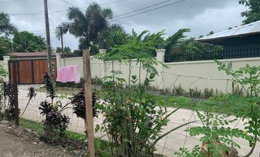 HOUSE AND HOUSE AND LOT FOR SALE IN BACONG ID 14849