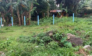HOUSE AND HOUSE AND LOT FOR SALE IN BACONG ID 14849