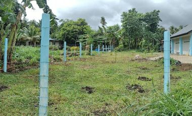 HOUSE AND HOUSE AND LOT FOR SALE IN BACONG ID 14849