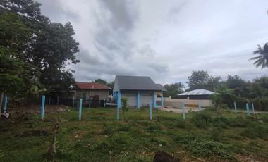 HOUSE AND HOUSE AND LOT FOR SALE IN BACONG ID 14849