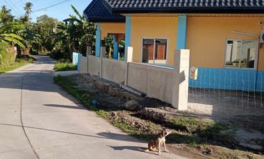 HOUSE AND HOUSE AND LOT FOR SALE IN BACONG ID 14849