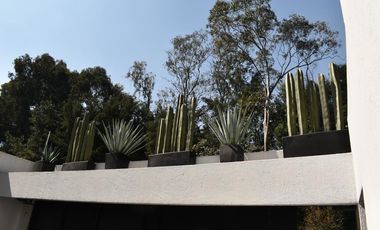 GRAN UBICACION, HERMOSAS VISTAS, AREAS VERDES, FRACC TRANQUILO Y SEGURO
