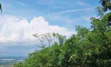 Tanah disewakan di Ngembal, Pasuruan, Jawa Timur