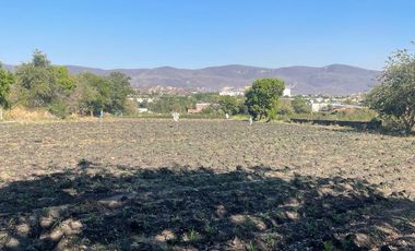 Terreno en Venta en Calle de Los Reyes Temixco, Morelos