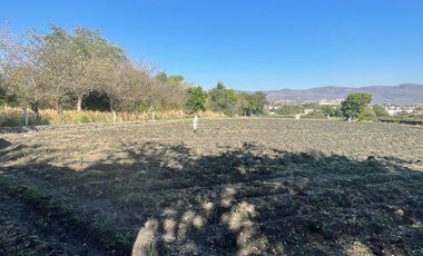 Terreno en Venta en Calle de Los Reyes Temixco, Morelos