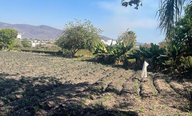 Terreno en Venta en Calle de Los Reyes Temixco, Morelos