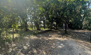 Terreno en Venta en Calle de Los Reyes Temixco, Morelos