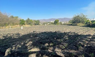 Terreno en Venta en Calle de Los Reyes Temixco, Morelos